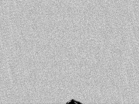 banner (1) 746E3F9.gif