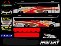 Livery Discovery MIRA.png